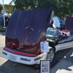 VetsandVettes_0020 (November 09, 2013)